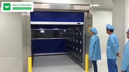 Automatic Induction Door Cargo Air Showers
